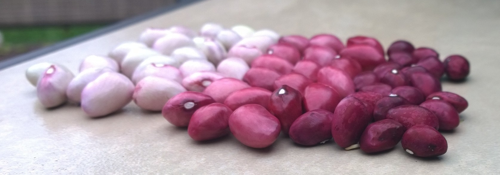 WP_20140829_16_20_34_Pro