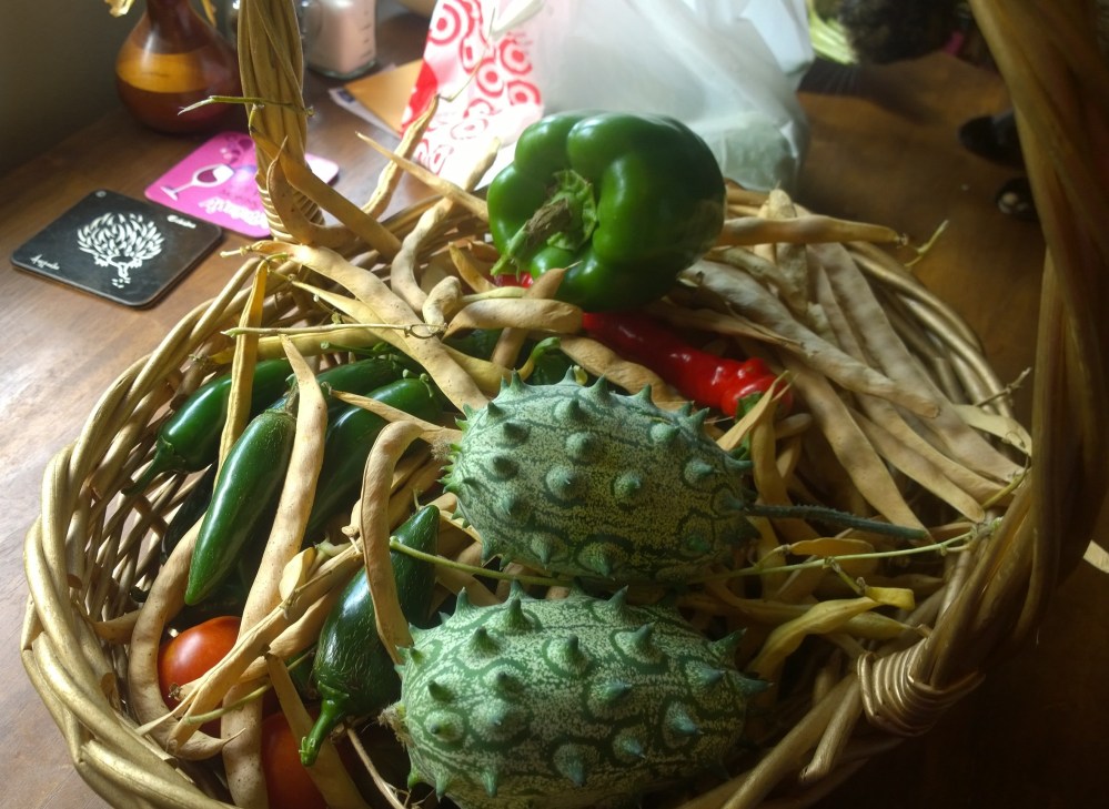 WP_20150906_15_57_15_Pro